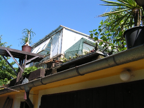 JS - skleníky na střeše