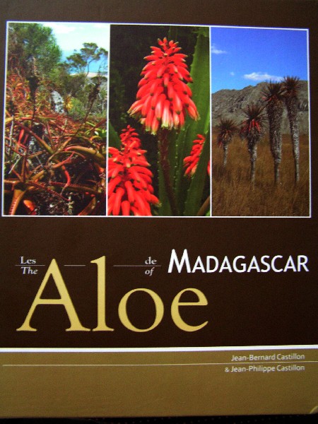 aloe-2.jpg