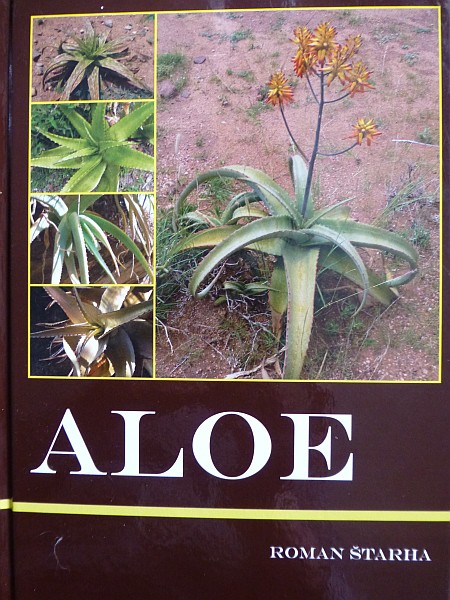 aloe-1.jpg